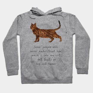 I Love My Cat So Much - T-Shirt V2 Hoodie